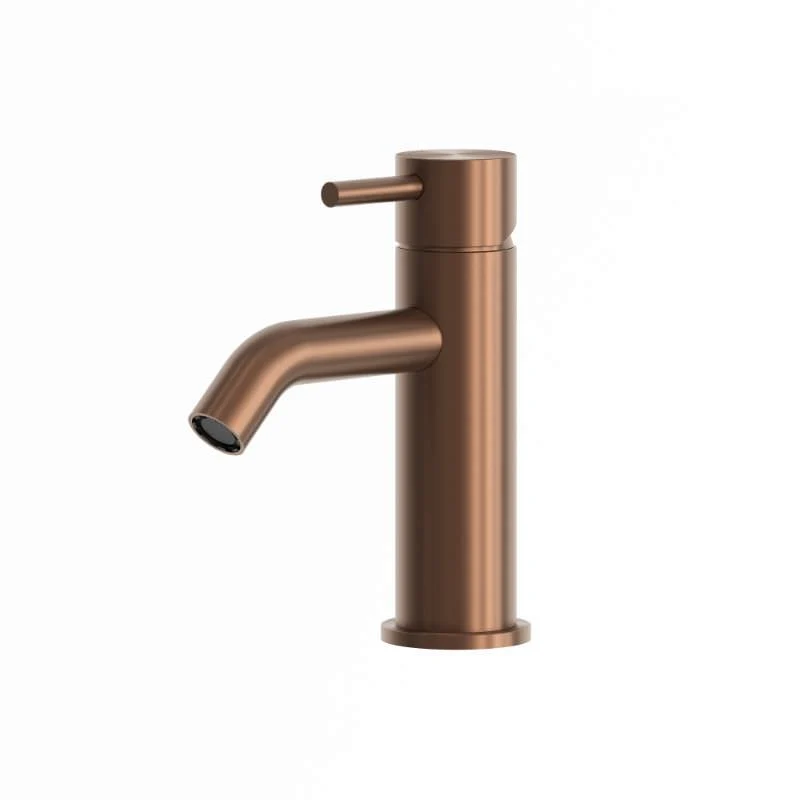 SINED Robinetterie lavabo acier inoxydable 316L couleur or rose 17 cm avec mélangeur résistant à la corrosion pour usage i...
