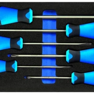 Insert GEDORE CT avec assortiment jeu de tournevis PH 2309130 choisir à bas prix