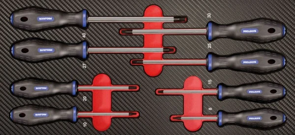 Insert de tournevis Projahn "TX avec trou" 8 pièces 5999-073 obtenir à bas prix