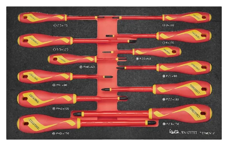 Teng Tools Jeu de tournevis isolés FOAM3 12 pièces TEFMDV12 acquérir à bas prix