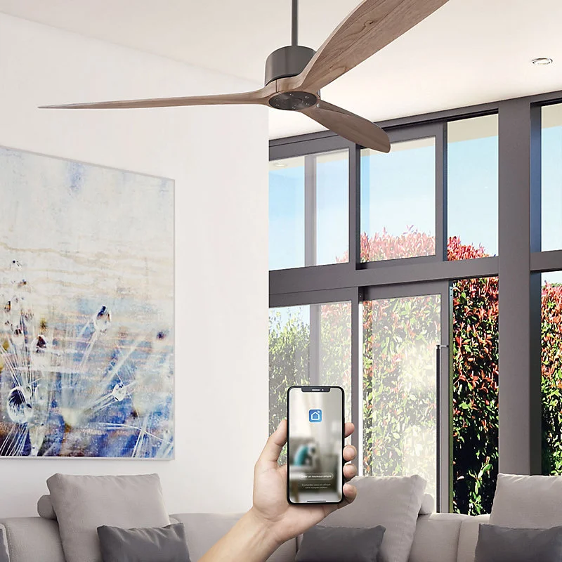 Fanelite - Ventilateur de plafond 164 cm gris et bois NEBA - Moteur DC 38W - Télécommande - Wifi - Vraiment silencieux