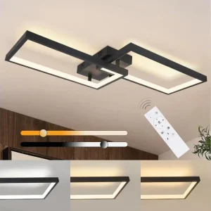 NETTLIFE Plafonnier LED dimmable avec télécommande 40W métal design novateur lampe de chambre lampe de cuisine pour chambr...