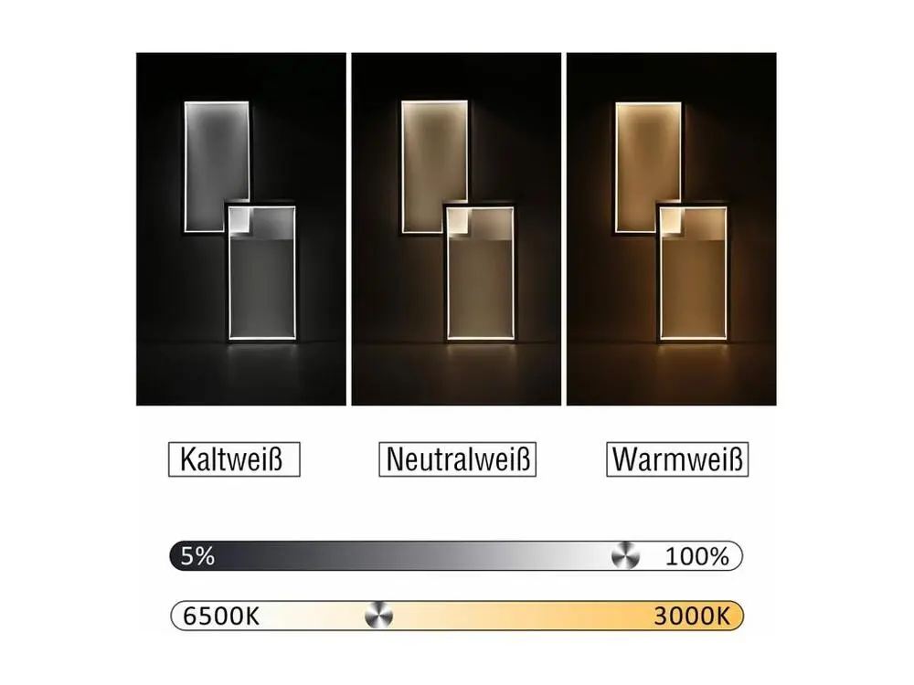 NETTLIFE Plafonnier LED dimmable avec télécommande 40W métal design novateur lampe de chambre lampe de cuisine pour chambr...