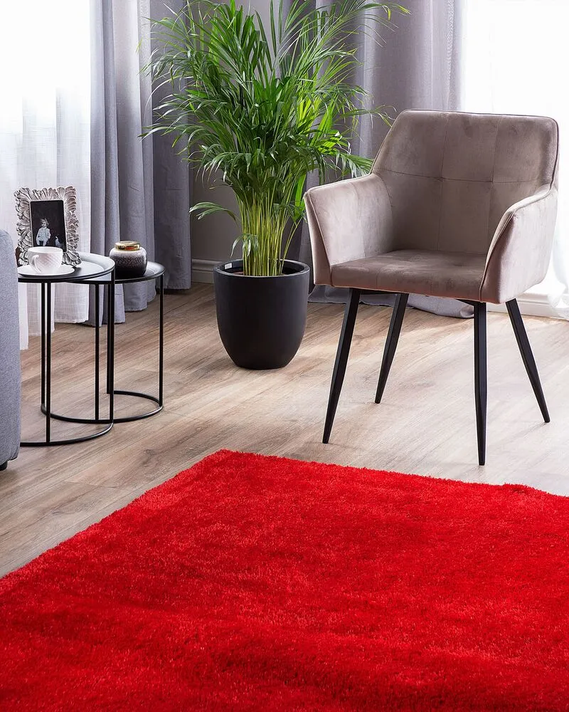 Vloerkleed tissu synthétique rood 140 x 200 cm DEMRE