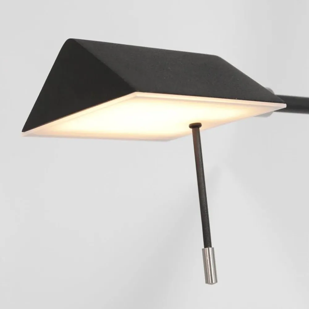 Lampe De Sol Noir Dimmable | Gyle pour Chasse aux Scorpions