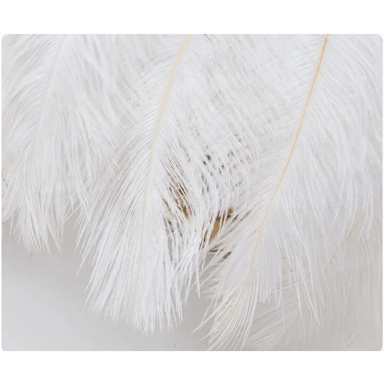 Design Contemporain Applique Murale Plume Blanche | Douceur Céleste