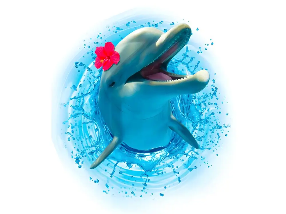 Autocollant Mural Dauphin pour chambre d'enfant