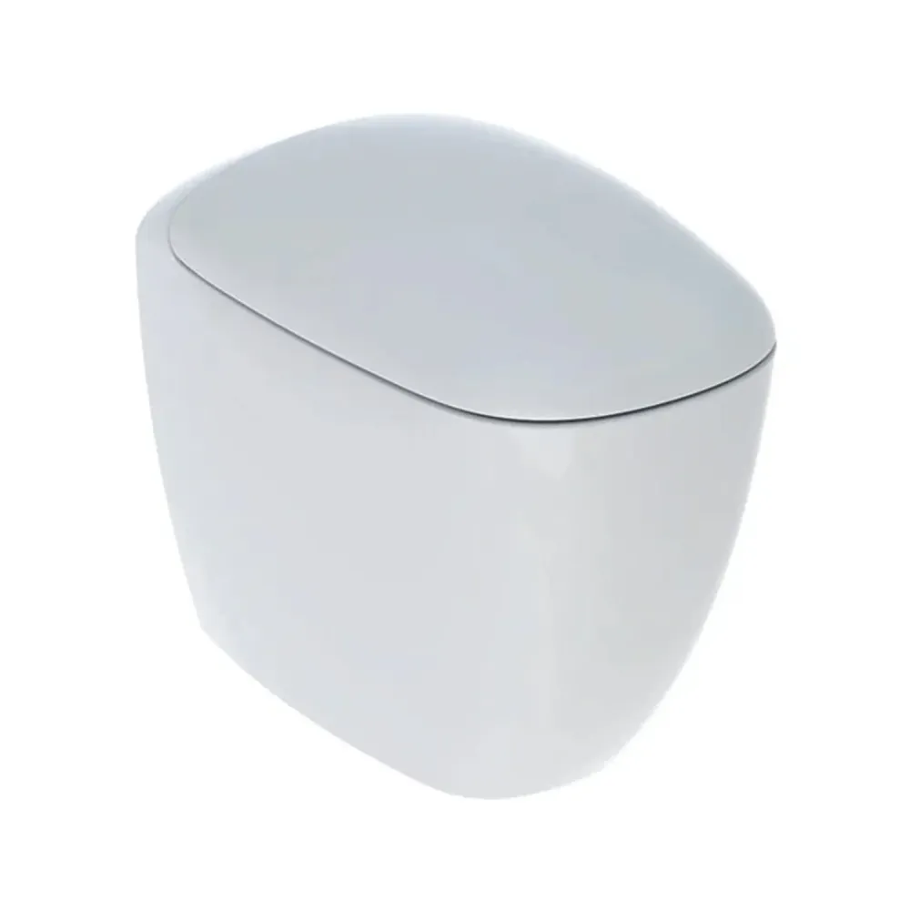 Sanitaire encastré avec bidet et WC Rimless à évacuation universelle et siège à fermeture douce modèle Citterio de Geberit...