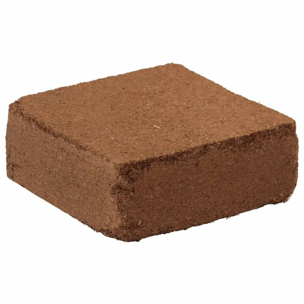 Blocs de noix de coco 2 pcs 5 kg chacun 10 kg au total Robuste et Fiable