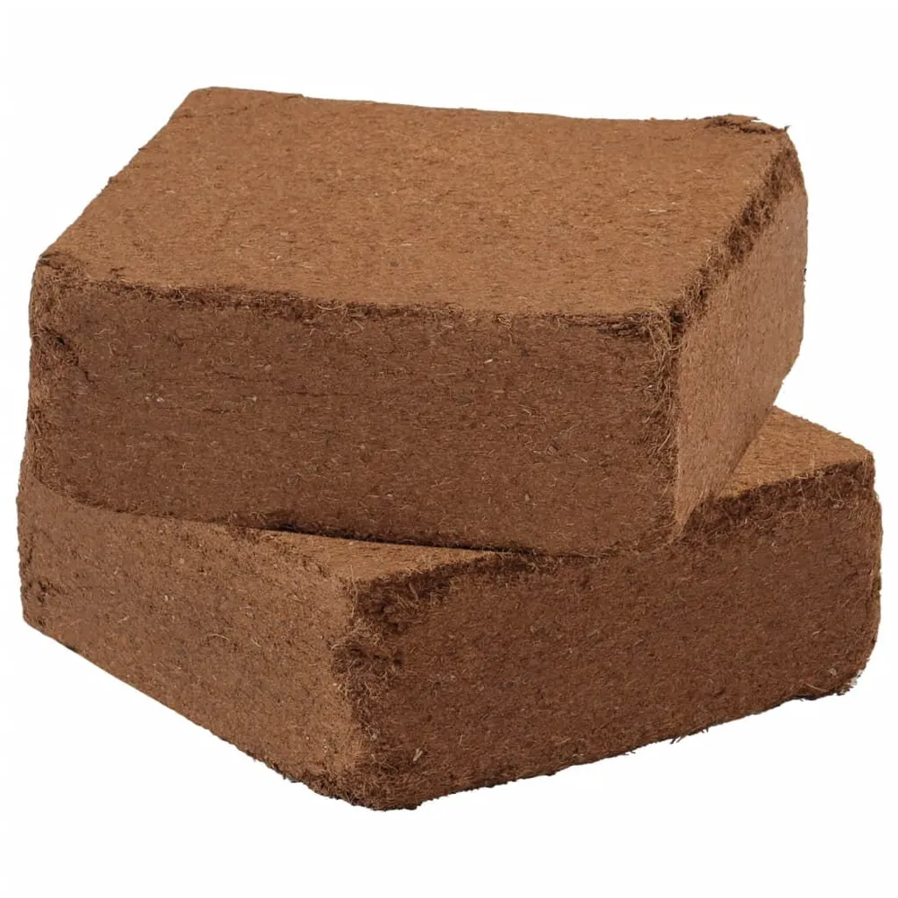 Blocs de noix de coco 2 pcs 5 kg chacun 10 kg au total Robuste et Fiable