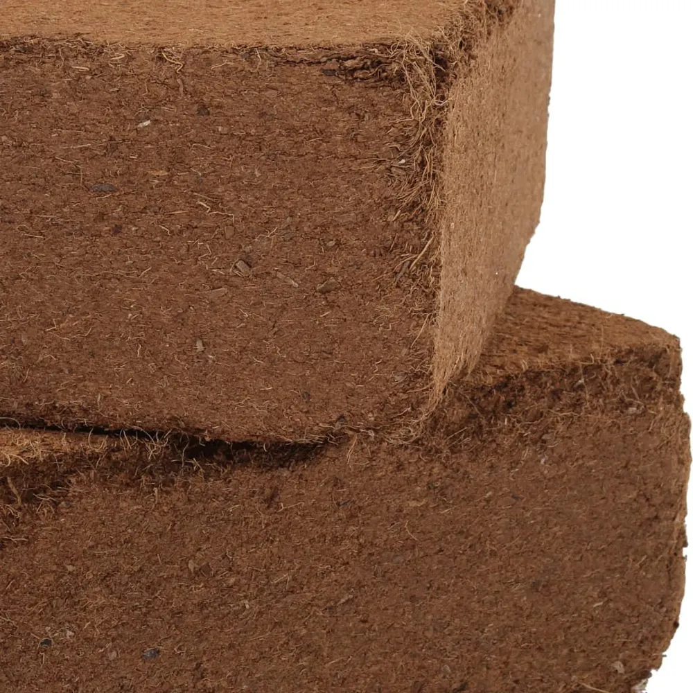 Blocs de noix de coco 2 pcs 5 kg chacun 10 kg au total Robuste et Fiable