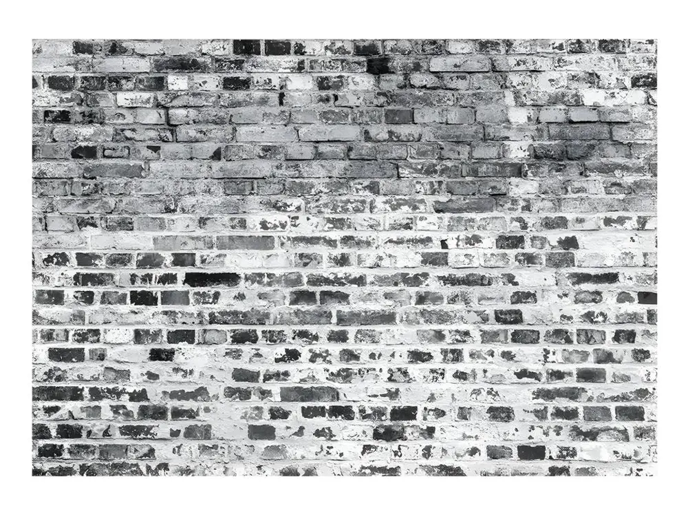 Papier peint intissé Fonds et Dessins Border Greynesses : Taille - 300 x 210 cm pour découpe précise