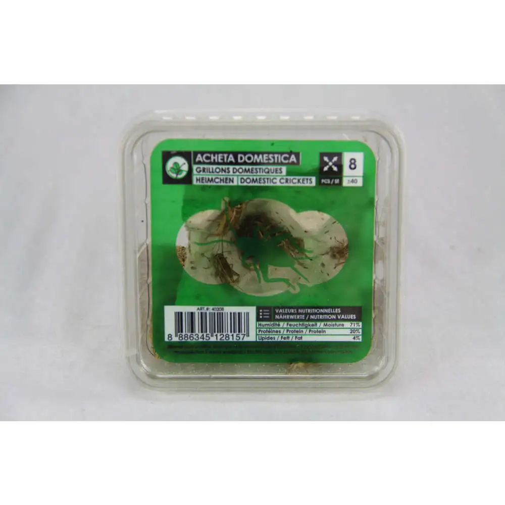 Filtre à air Grillons domestiques reptiles, taille L, 30/35 pièces Stoffels