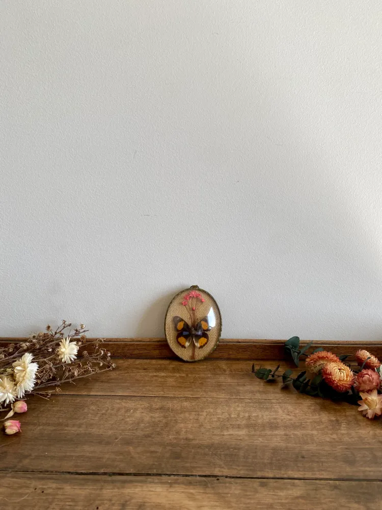 Éclairage Décoratif LED Cadre verre bombé papillon