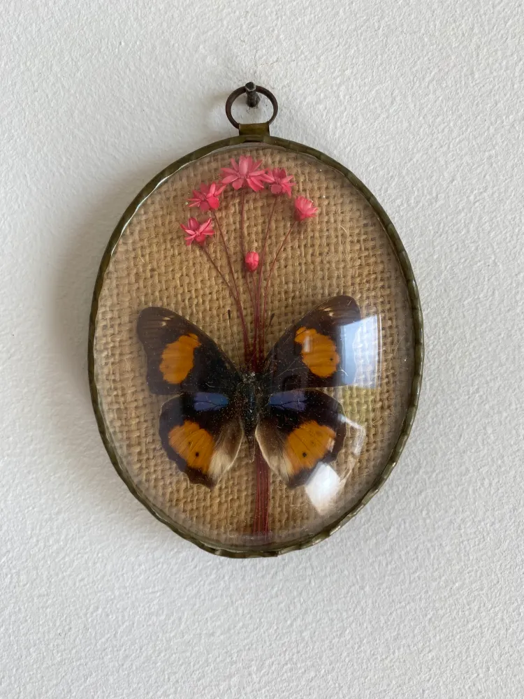 Éclairage Décoratif LED Cadre verre bombé papillon