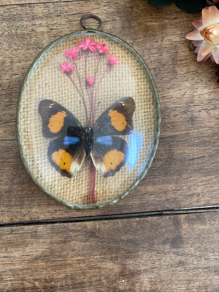 Éclairage Décoratif LED Cadre verre bombé papillon