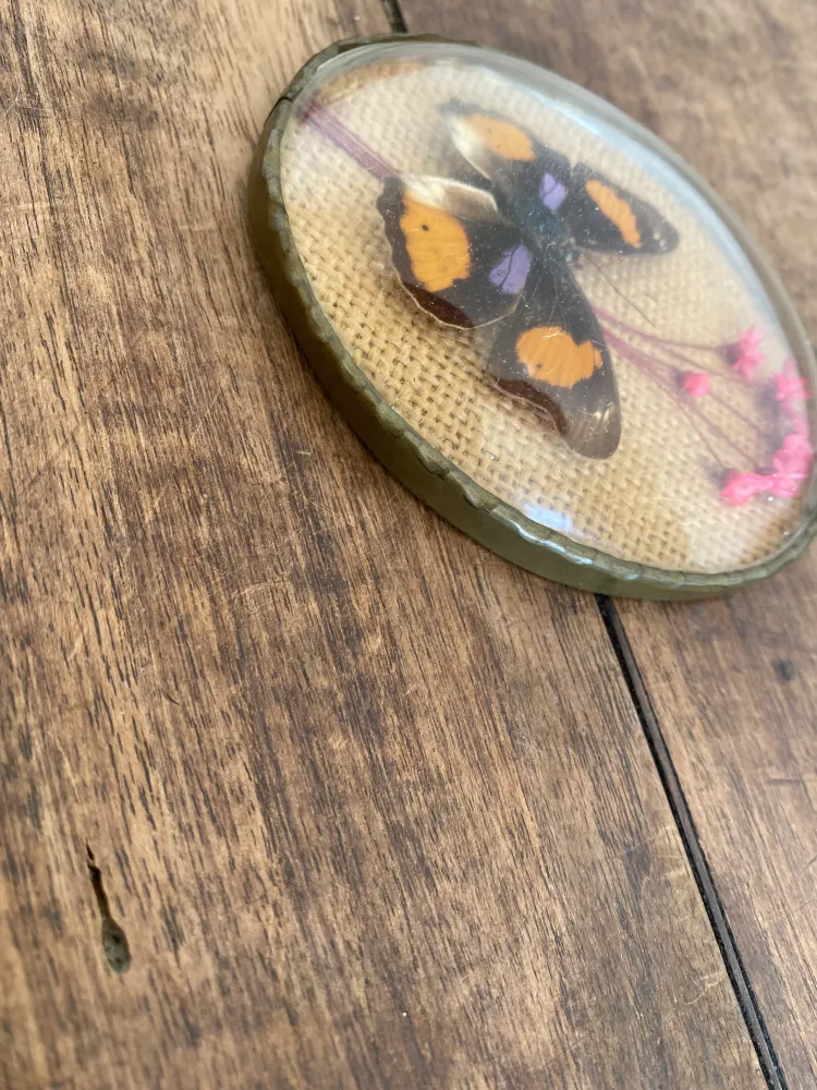 Éclairage Décoratif LED Cadre verre bombé papillon