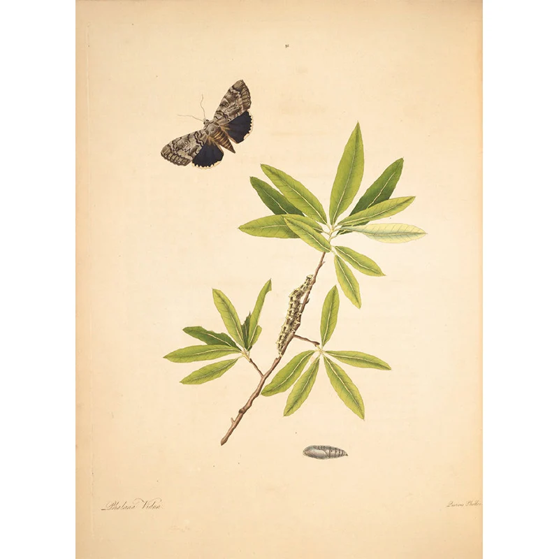 Lampe à lave Beigefarbene Baumzweig-Wandtapete, botanische, zeitgenössische, schmutzabweisende Wandkunst