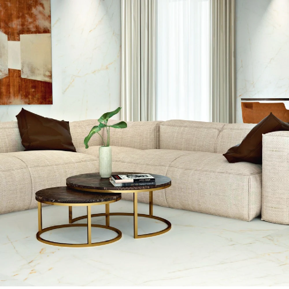 Carrelage Intérieur Trevi 60x120 Effet Marbre
