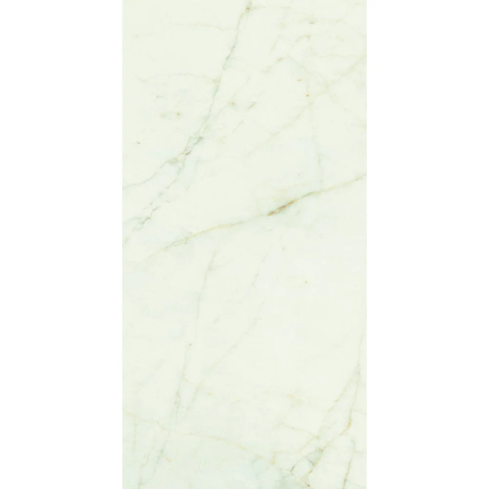 Carrelage Intérieur Trevi 60x120 Effet Marbre