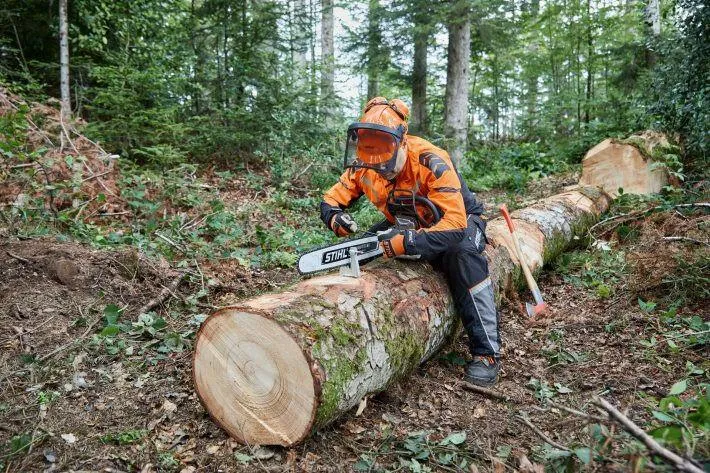 STIHL Rapid Hexa 3 - 45 cm - 3/8" - 31340000066
