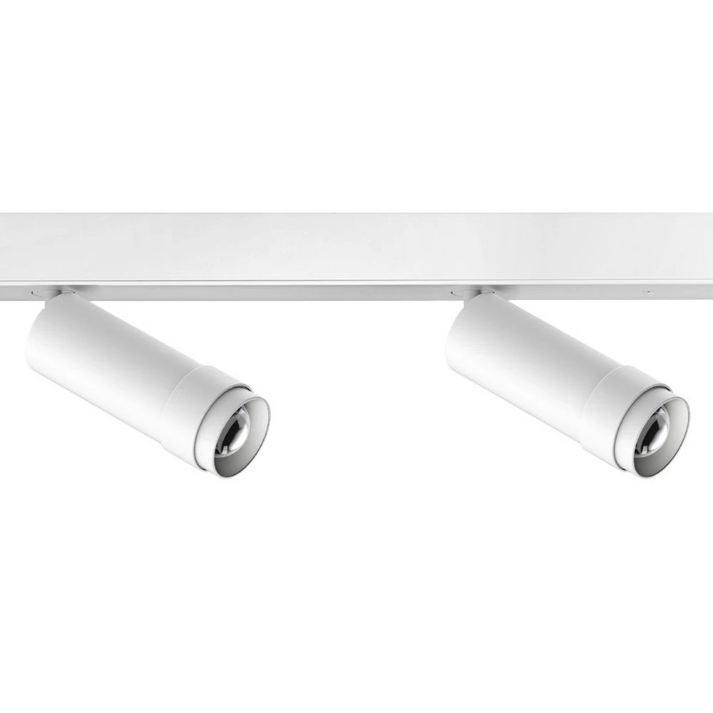 Panneau LED commercial Ribag Vertico spot pour plafond à 2 lampes 3.000K blanc