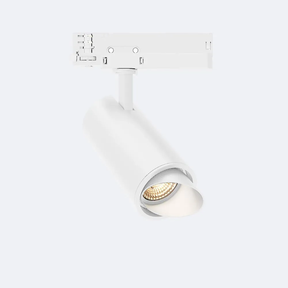Projecteur LED Fasano Cylindre Incliné 30W sur Rail 3 Phases Dimmable DALI Blanc