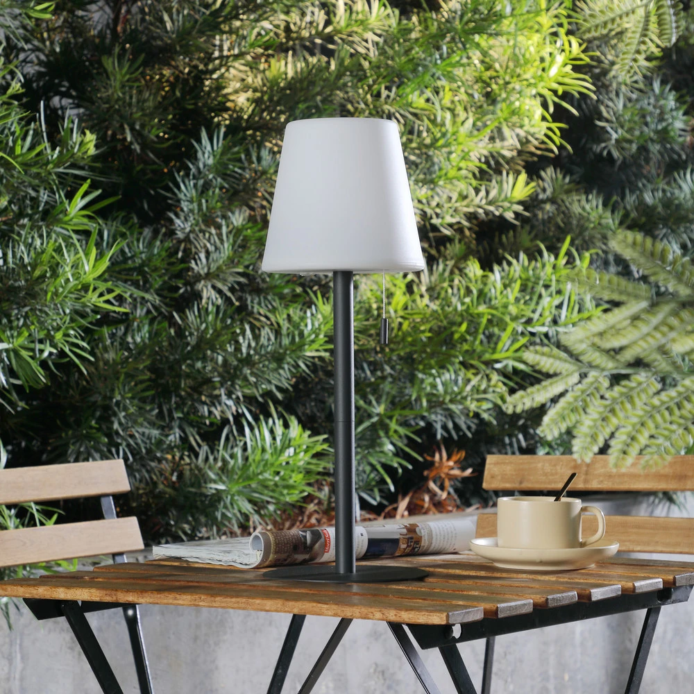 Lindby luminaire LED à autonomie renouvelable Azalea noir Alu CCT réglable en hauteur