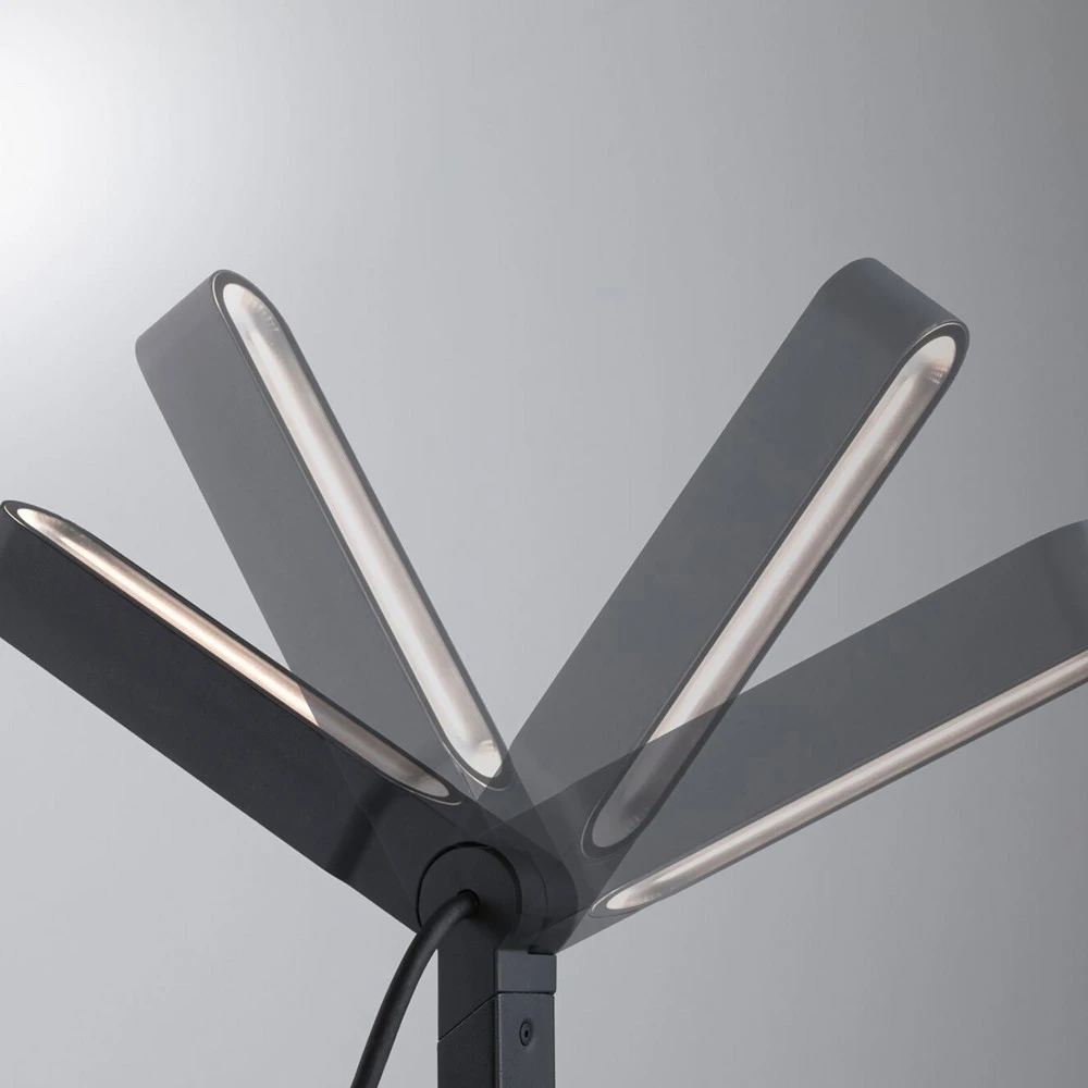 Paulmann Plug & Shine Lampe pour socle Ito vertical en finition anthracite