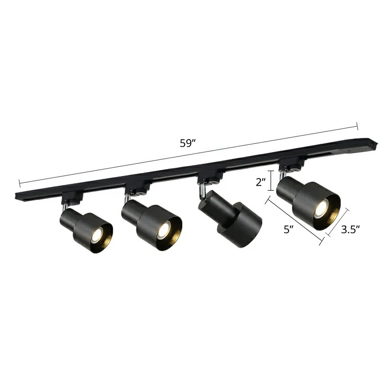 Luminaire sur rail en métal en forme de Grenade, éclairage Semi-monté de Style actuel pour le salon