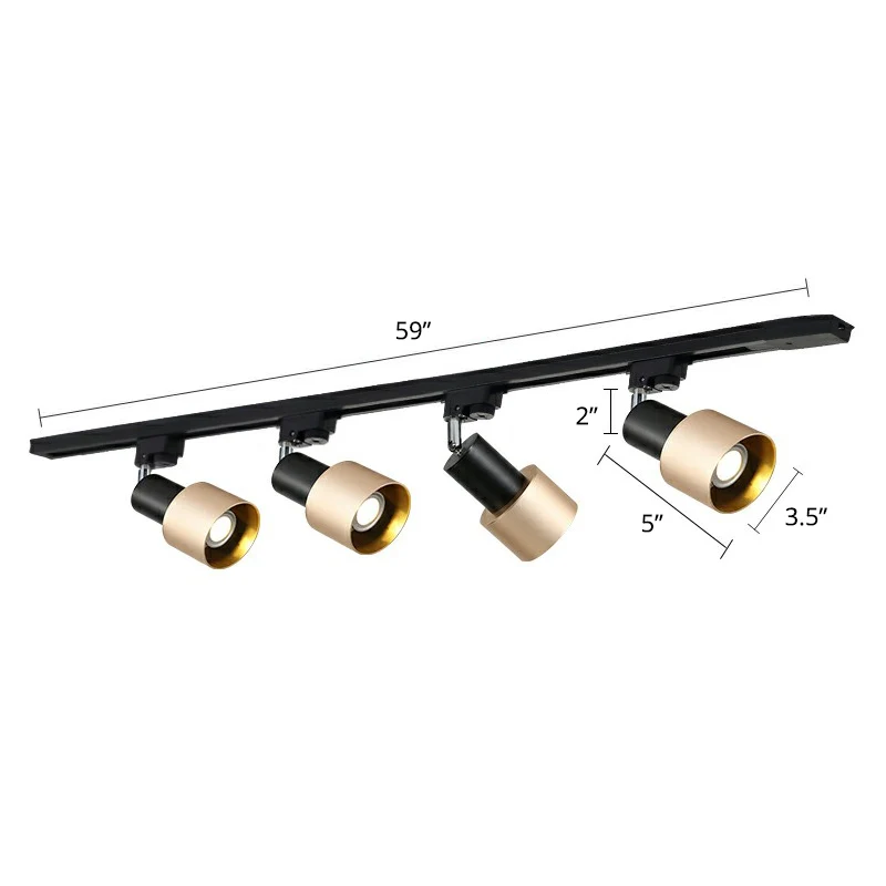 Luminaire sur rail en métal en forme de Grenade, éclairage Semi-monté de Style actuel pour le salon