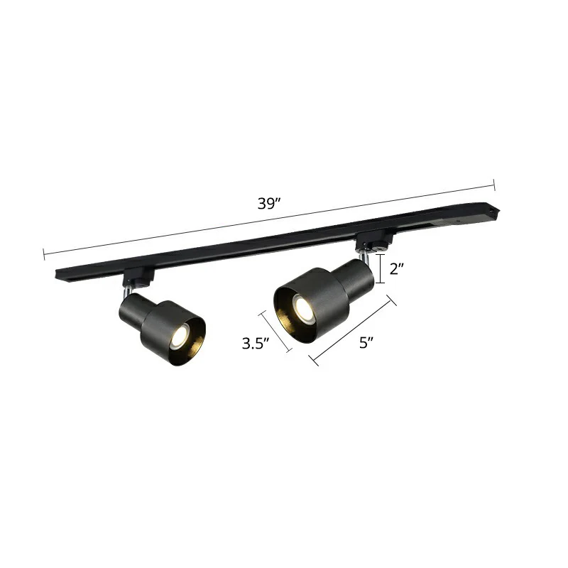 Luminaire sur rail en métal en forme de Grenade, éclairage Semi-monté de Style actuel pour le salon