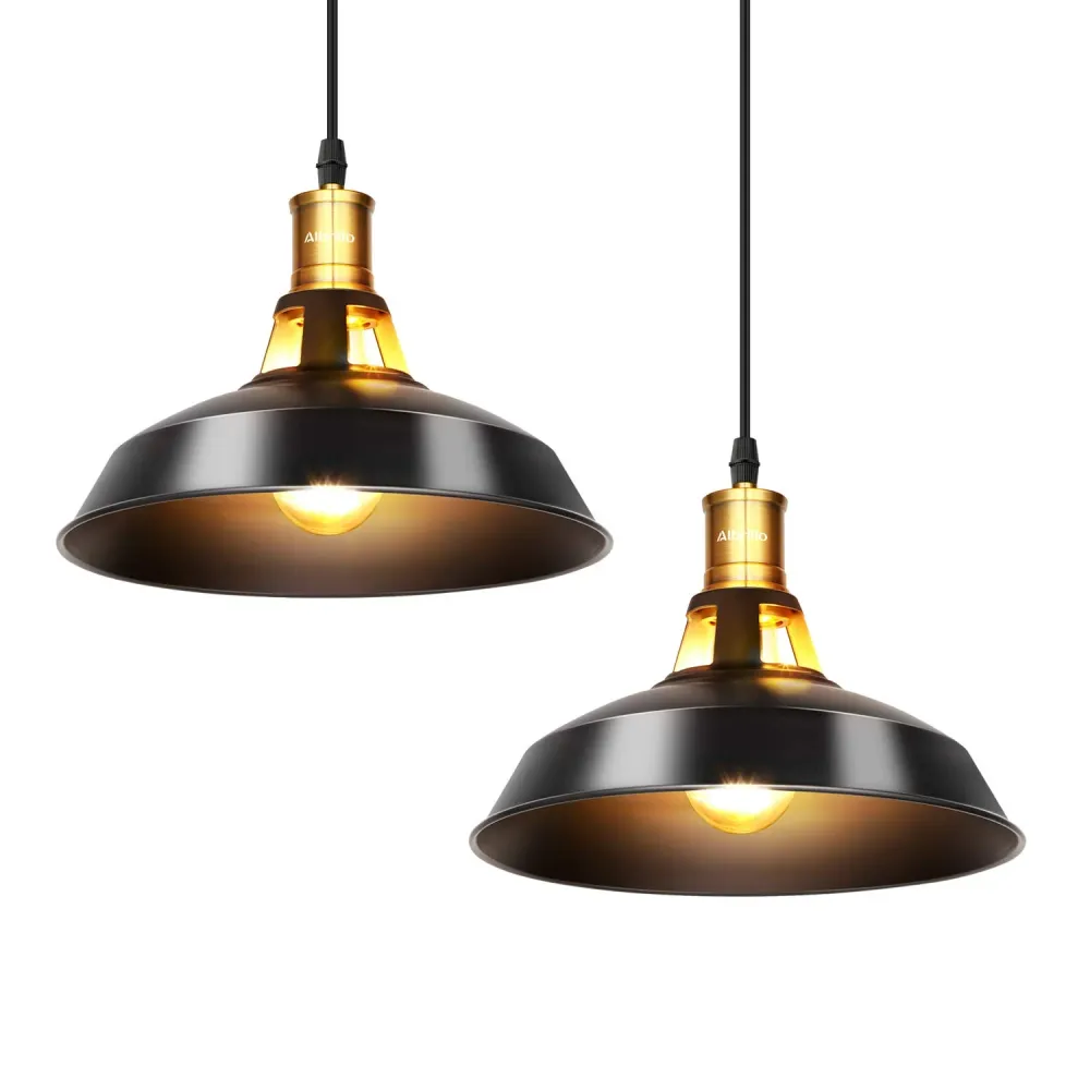 Albrillo Lot de 2 Suspension Luminaire Industrielle, Plafonnier Rétro en Noir Classique