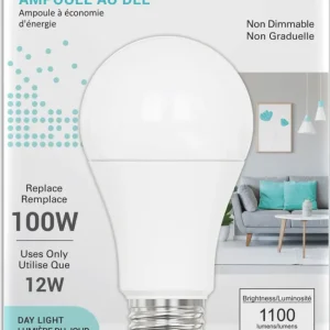 Ampoule DEL 12W 5000K