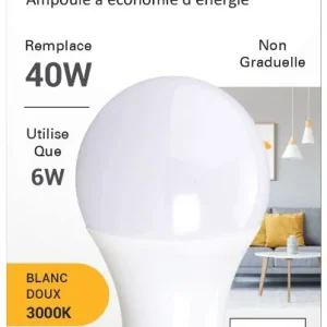 Ampoule DEL 6W 3000K