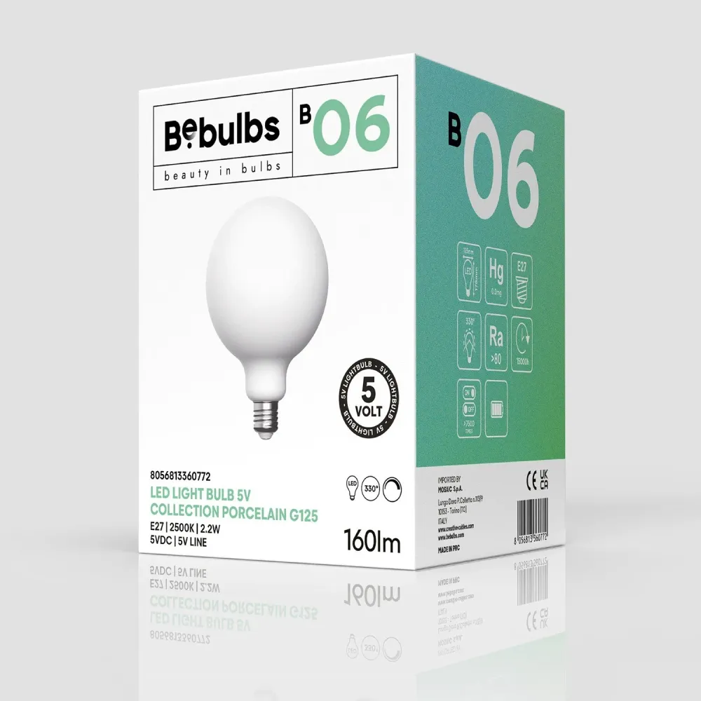 Ampoule LED Porcelaine Linea 5V Globe G125 2,2W 160Lm E27 2500K Dimmable - B06