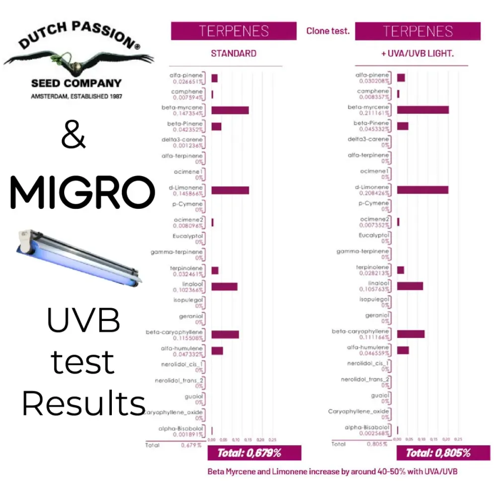 Appareil MIGRO UVB 310 et tube fluorescent