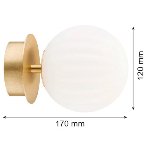 Applique murale Argon Paloma 1L, douille E14, hauteur 17 cm