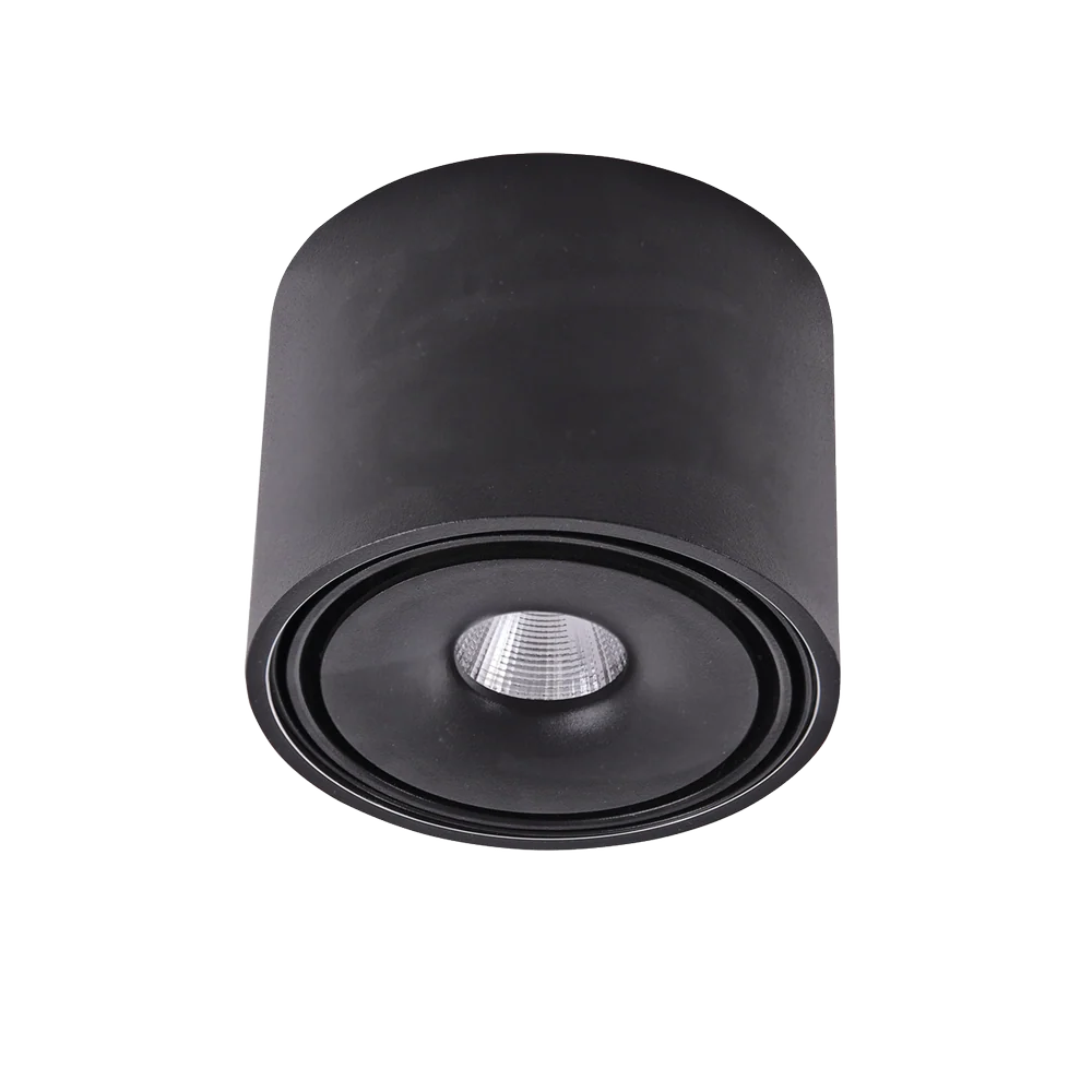 Plafonnier Azzardo BOSTON 1L, noir, LED