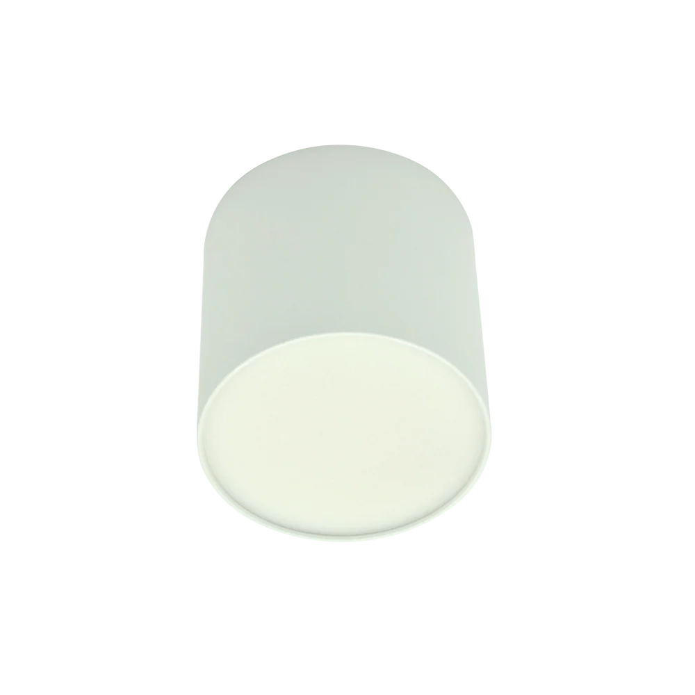 Plafonnier Azzardo MATEO 1L, blanc mat, LED