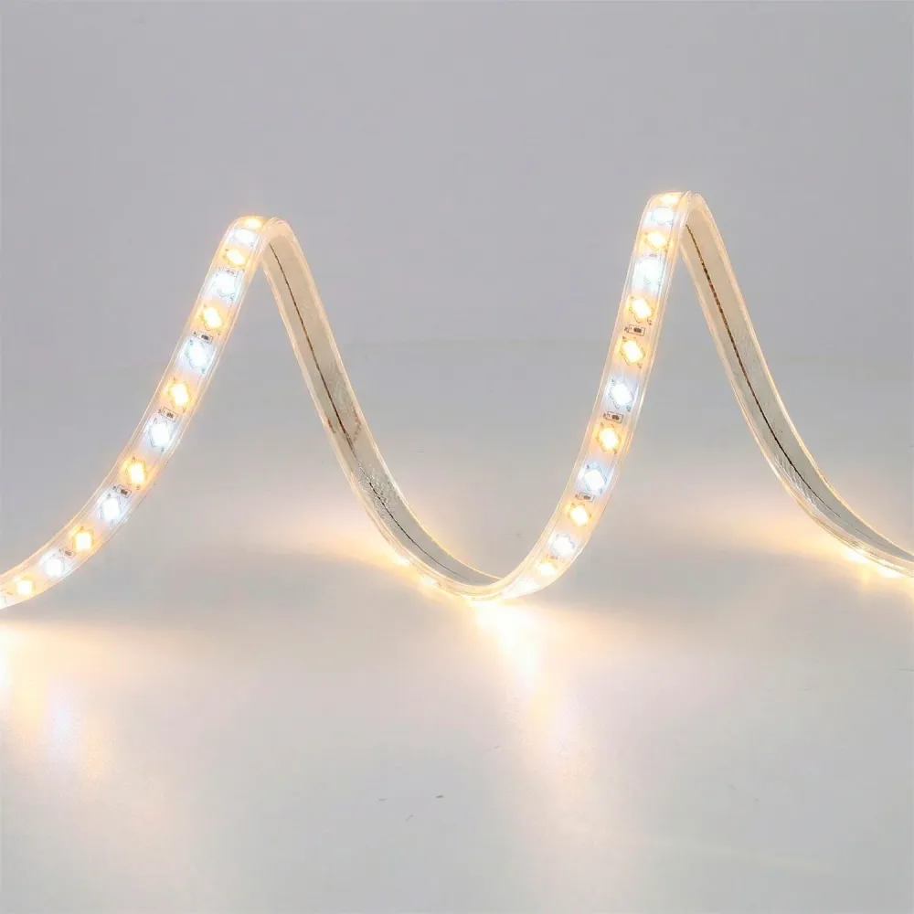 Bande LED flexible 12 W/m 220 V CA 120 LED/m SMD5730 IP65 CCT (teinte variable) 50 mètres