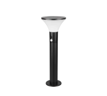Borne Gorda pm R54676132