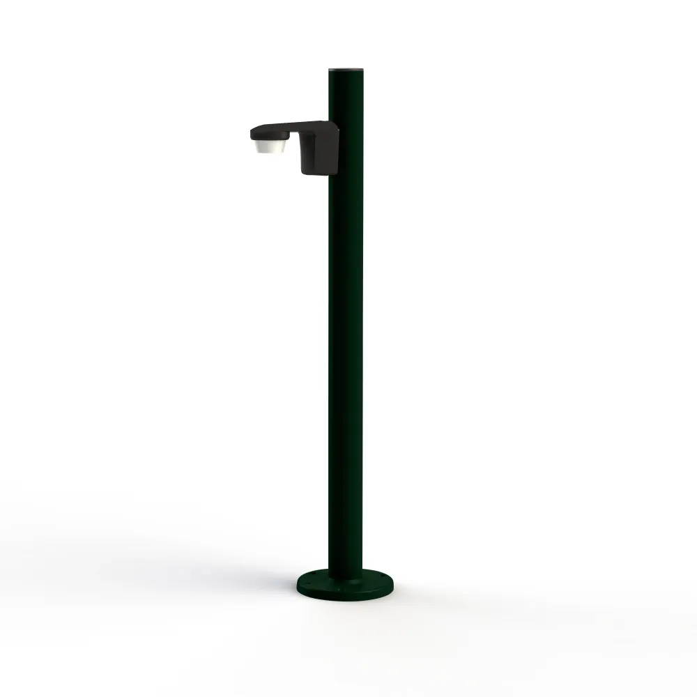 Bornéo N°3 detection Vert Anglais 019 107011019
