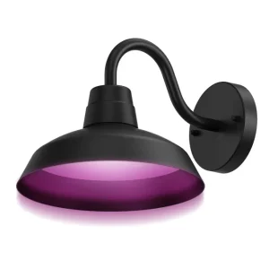 Calex Smart Applique Murale - RGB + CCT - Noir
