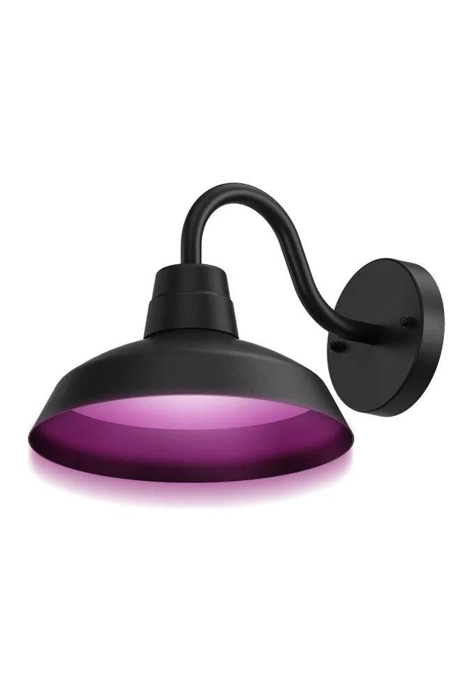 Calex Smart Applique Murale - RGB + CCT - Noir