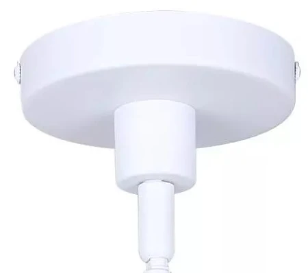 Suspension Caleb 1 Canarm