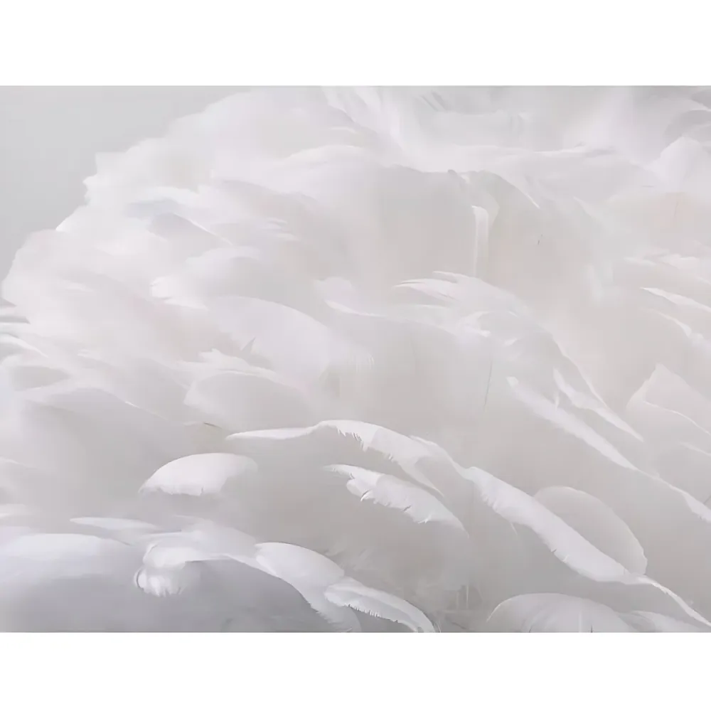 Lampadaire de salon trépied avec abat-jour orbe plume joli lampadaire en blanc Clearhalo