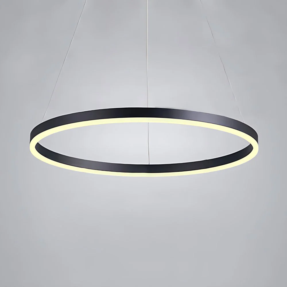 Plafonnier noir à 1/2/3 anneaux pour salon, avec abat-jour en acrylique, lumière blanche chaude/chaude Clearhalo