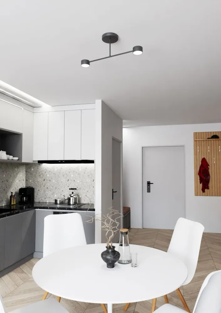 Plafonnier encastré Emibig HALO 2 en acier thermolaqué noir/blanc GX53 Black