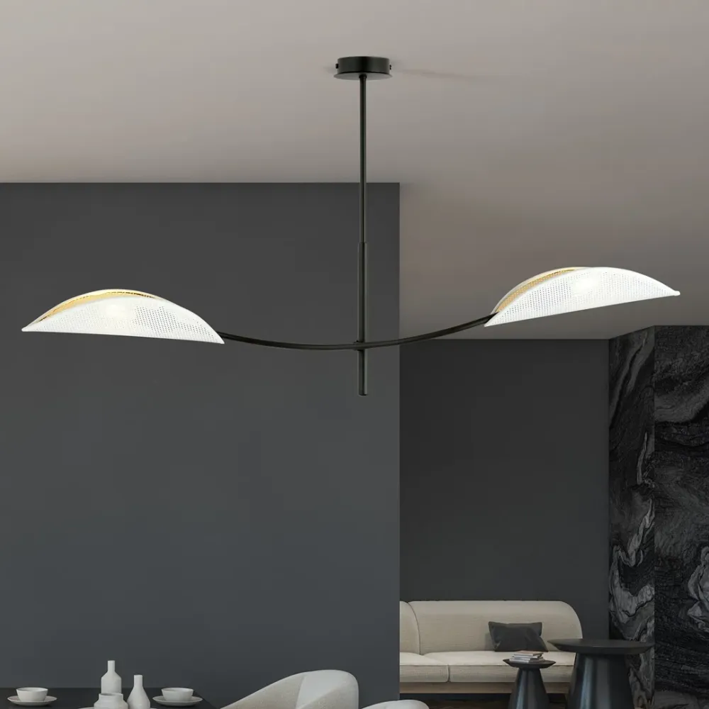 Plafonnier LOTUS 2L, D12 noir, E14 Emibig